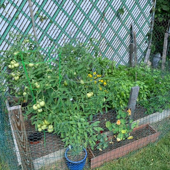 Meet your Posher, Deb - Picture 4 of 6